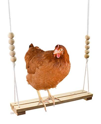 Chicken Swing Toy