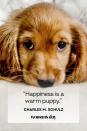 <p>“Happiness is a warm puppy."</p>