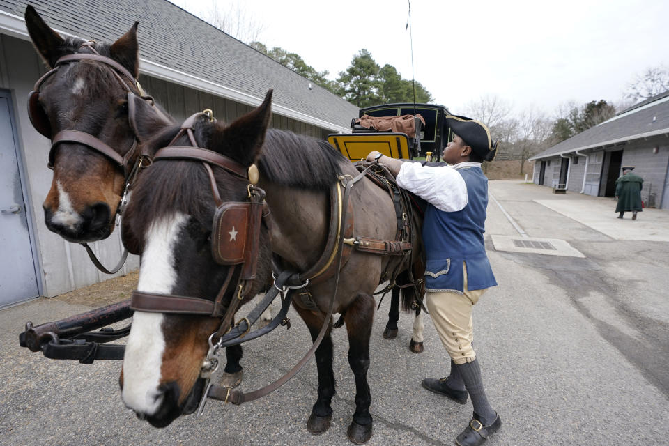 Colonial Williamsburg coachman Collin Ashe prepares his horse, Commodore, to pull a coach Thursday Feb. 24, 2022, in Williamsburg, Va. Colonial Williamsburg has begun to honor the coachmen by naming a new carriage after one of them. (AP Photo/Steve Helber)