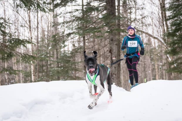 Facebook/Moncton Dog Runners