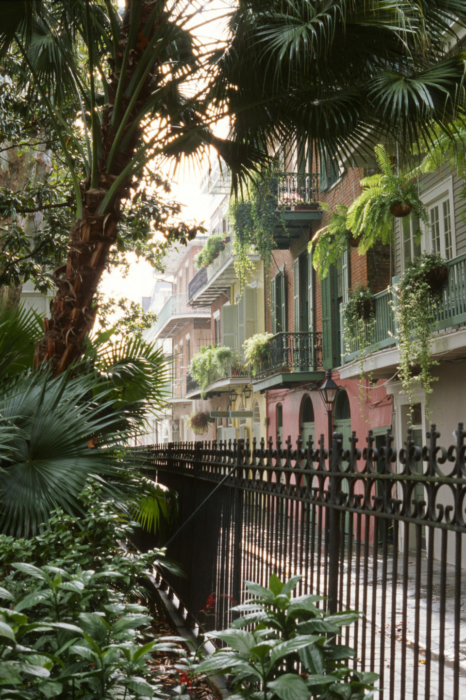 Beautiful buildings in the French quarter of New Orleans.