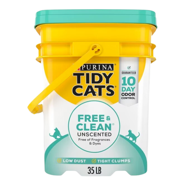 11 Best Cat Litters for Odor Control, Expert-Approved in 2024