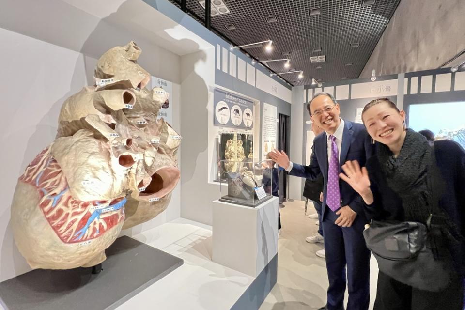 《圖說》日本科博館海洋哺乳類生態研究員田島木綿子（右）向台灣科博館長焦傳金（左）介紹「大哺乳類展3」巨大的藍鯨心臟。（科博館提供）