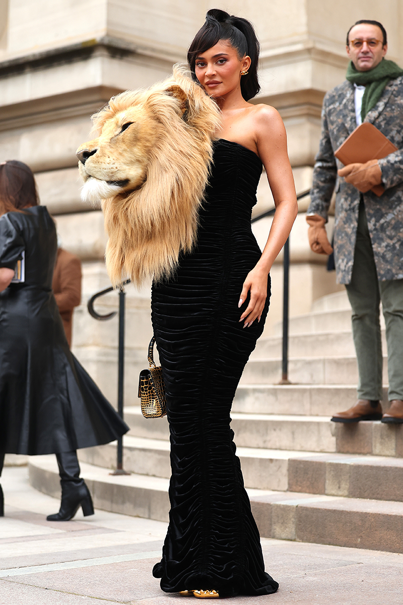 kylie jenner lion dress