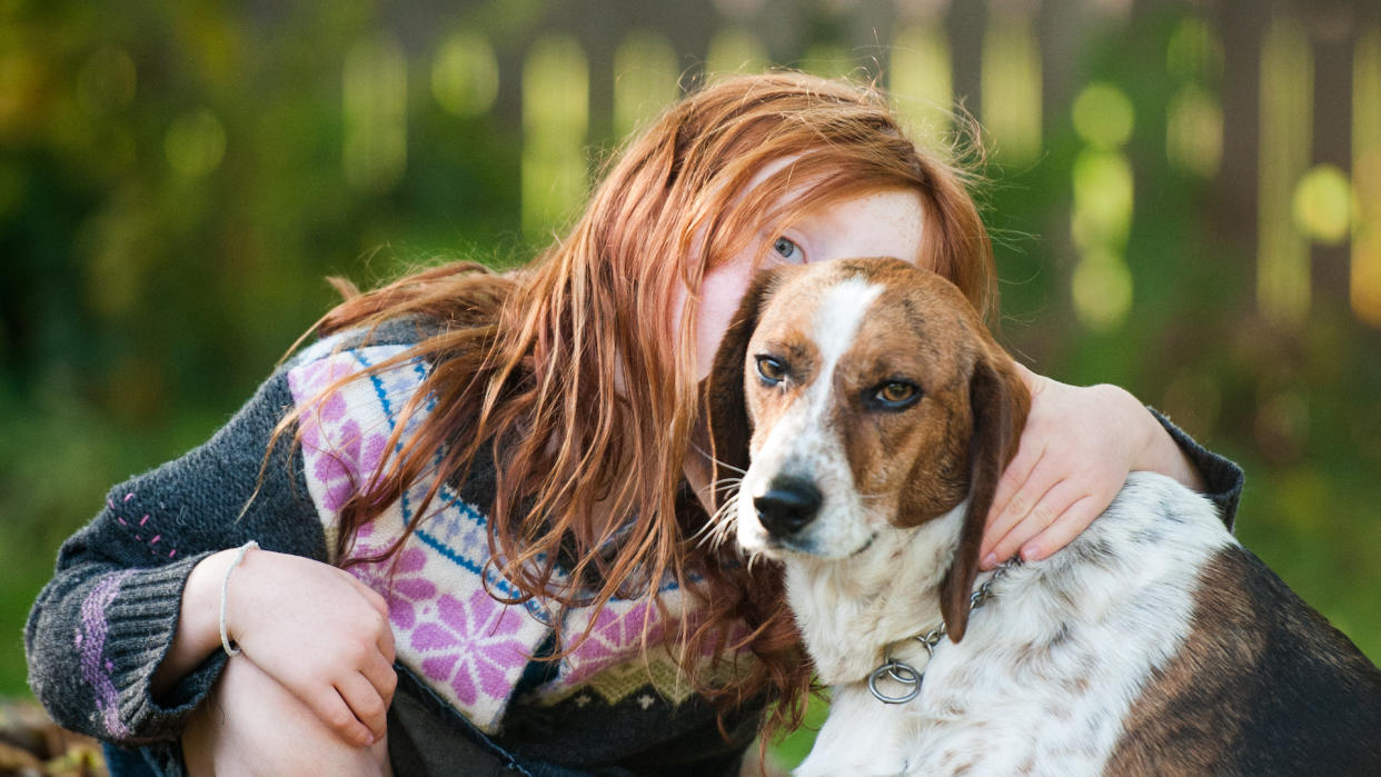 Girl cuddling American foxhound