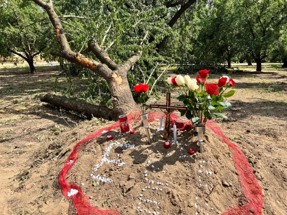 A memorial stands in an orchard west of Monticello Lane in southwest Modesto where Emmanuel Gomez crashed after being shot while pursuing vehicle burglary suspects on Wednesday morning, June 7, 2023.