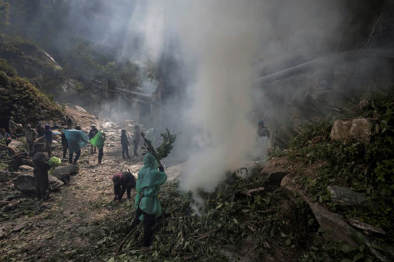 The Wider Image: Nepal's honey gatherers say fewer hives threaten tradition