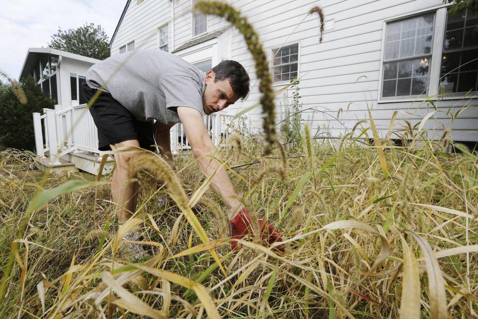 U.S. government statistician Steve Hanway, who normally leads a team of statisticians tallying injuries of consumers for the U.S. Consumer Product Safety Commission, spends some of the time he cannot be working because of the U.S. government shutdown weeding a long neglected garden outside his home in Gaithersburg, Maryland October 4, 2013. Hanway is spending his days sidelined in his home in Gaithersburg, Maryland, one of about 800,000 federal workers furloughed in the first U.S. government shutdown in 17 years. REUTERS/Jim Bourg (UNITED STATES - Tags: BUSINESS POLITICS)