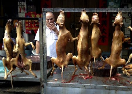 A vendor smokes behind a display of dog meat at a dog meat market on the day of a local dog meat festival in Yulin, Guangxi Autonomous Region, June 22, 2015. REUTERS/Kim Kyung-Hoon/File photo