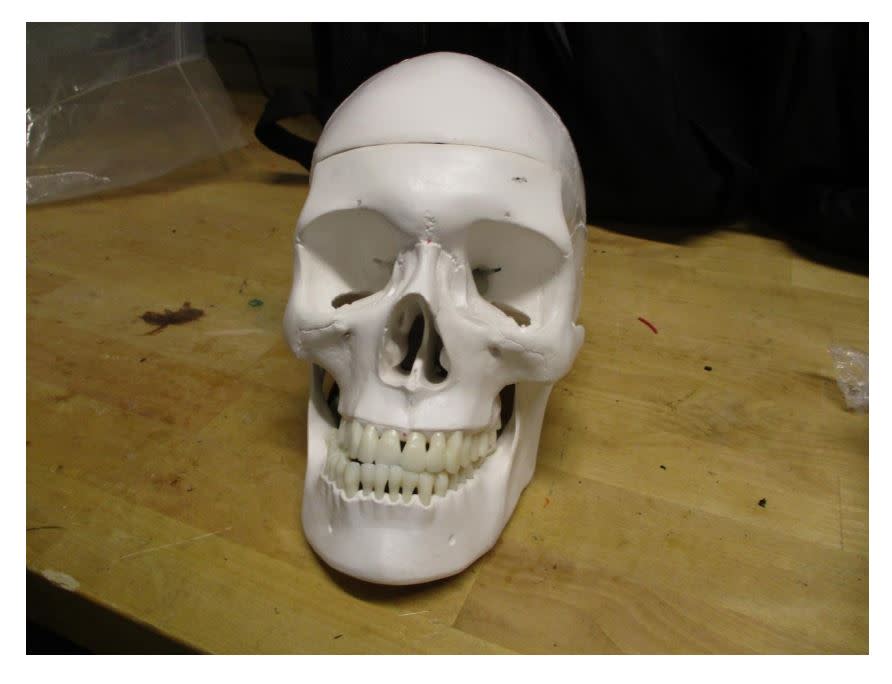 A “suspicious” skull found in checked luggage at Salt Lake International Airport (Courtesy of TSA)