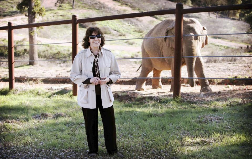 This undated publicity photo released by courtesy of HBO shows narrator, Lily Tomlin, in the documentary film, "An Apology to Elephants." The film is an unabashed polemic, calling for improved treatment of elephants in zoos and an end to the use of the animals as entertainment, which the film contends must invariably involve abuse. (AP Photo/HBO, Lisa Jeffries/pawsweb.org)