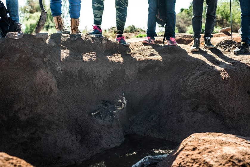Members of las rastreadoras unearth a body found in a mountainside in the Mexican state of Sinaloa.