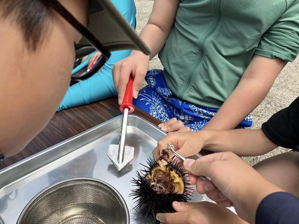 日本旅遊｜北海道海膽體驗活動推介！人氣店免排隊、親手開海膽、對住積丹藍海景嘆海膽丼