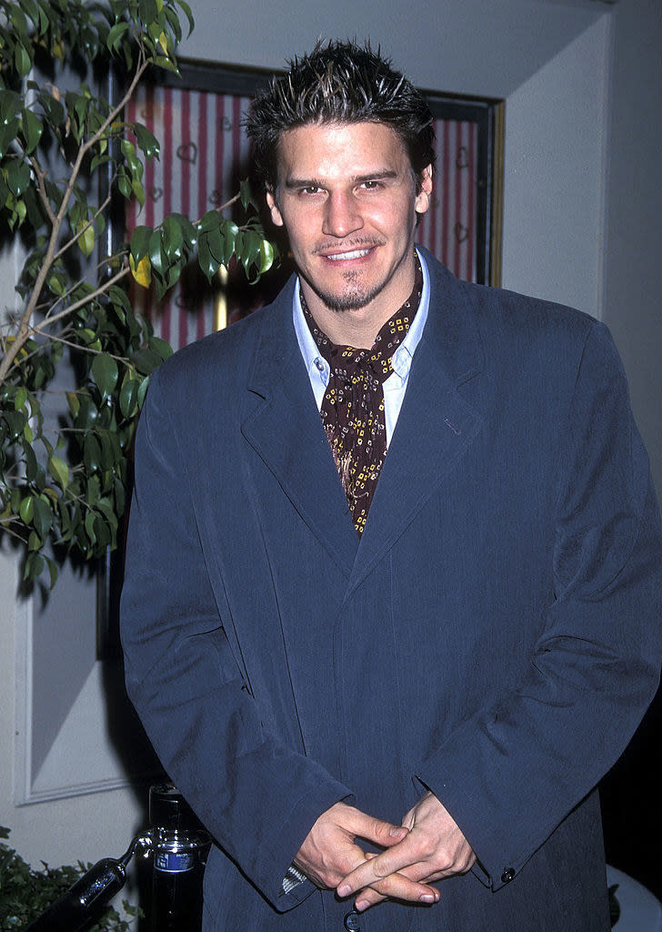 David Boreanaz smiling in front of a plant