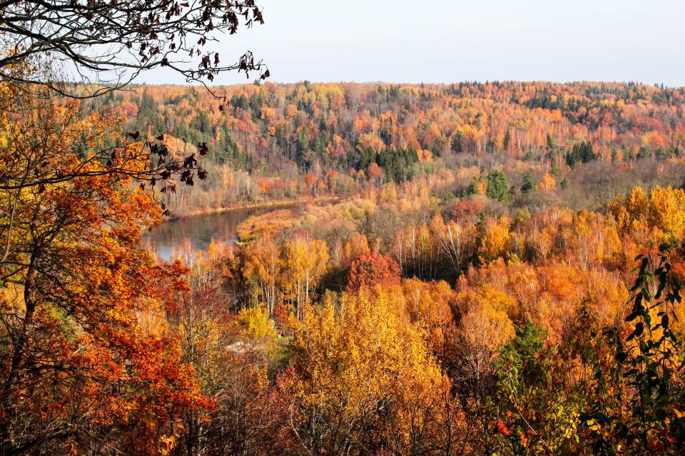 When and Where to See the Most Stunning Fall Foliage in the U.S. This Year