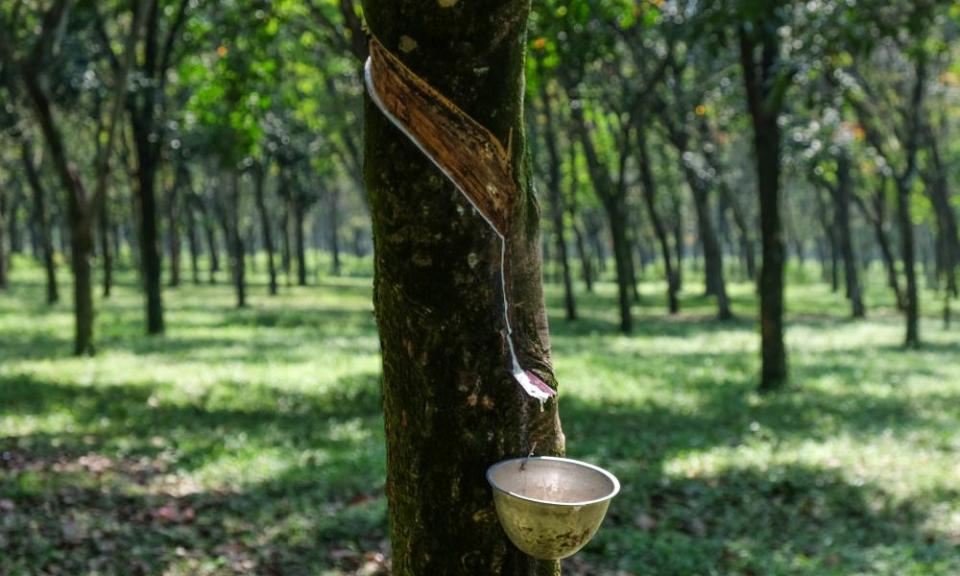 <span>Photograph: Xinhua/Rex/Shutterstock</span>