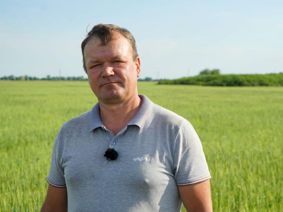 Ihor Shumeiko, an agronomist at a big farm west of Odesa, Ukraine, isn’t sure they’ll be able to cut their crops, because the combine owners who usually send their machines down from the north are afraid to do so with a Russian fleet parked in the Black Sea. (Jason Ho/CBC - image credit)