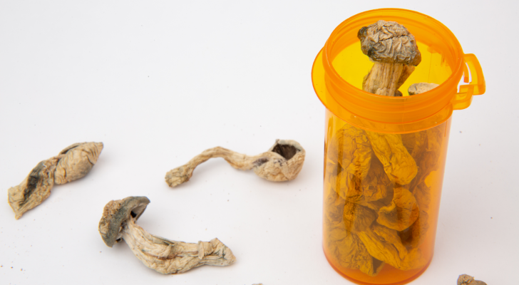 Dried psilocybe cubensis psilocybin magic mushrooms inside and around a plastic prescription medicine bottle with no lid isolated on white background, Mind Medicine is in the psychedelic medicine business. MNMD stock