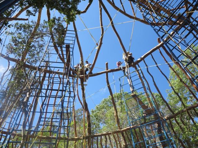 Step Inside Tulum's Treehouse Version of the Guggenheim Museum