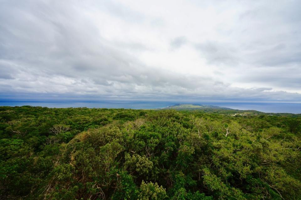 墾丁有擁世界級360度山海景色的觀海樓。   圖：取自台灣山林悠遊網