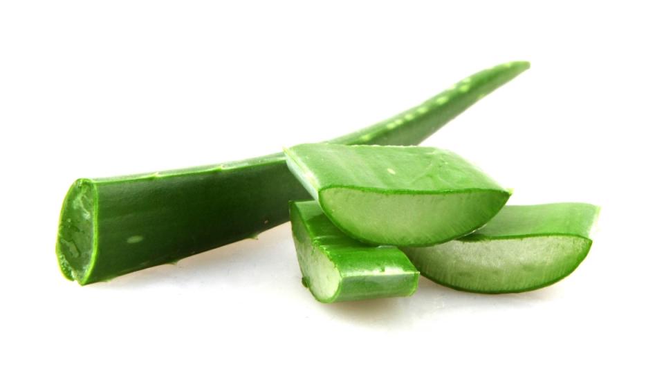 An aloe vera plant sliced open