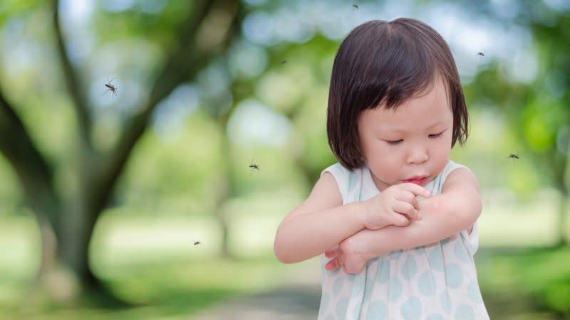 黃瑽寧醫師：世界蚊子日，你知道正確的「防蚊」方法嗎？