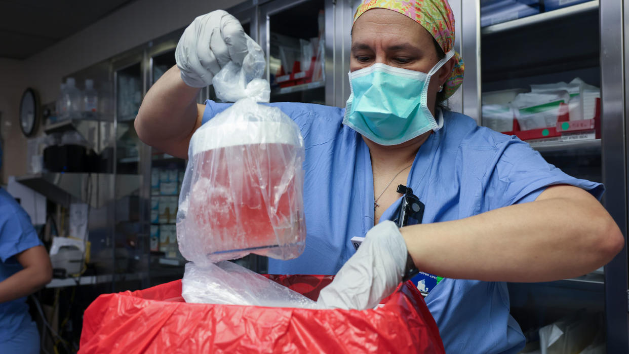  A woman in blue scrubs, gloves and a face mask removed a bagged organ in a jar in preparation for surgery. 