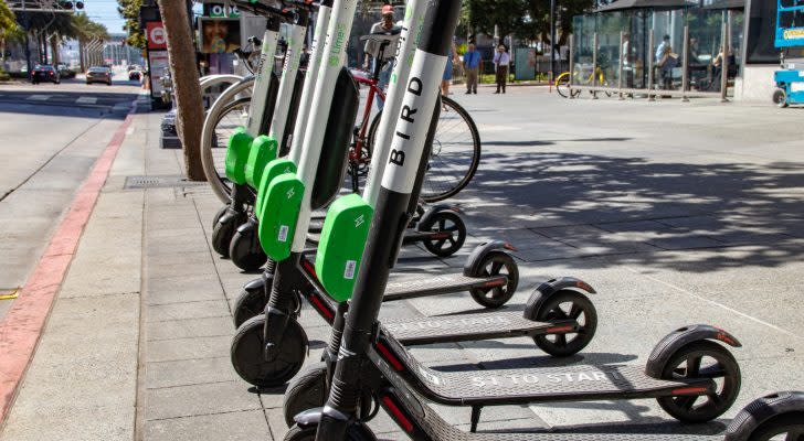 Bird Electric Ride Sharing Scooters Lined Up and Ready to Rent