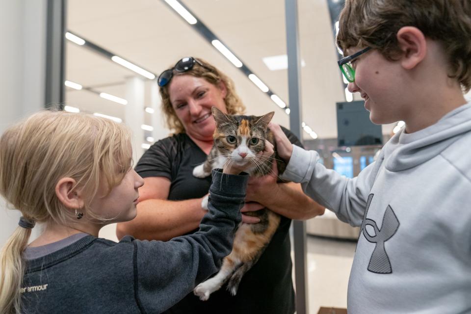 After being missing for three years, 4-year-old Sarin, a tabby feline, is reunited with her family, from left, Paylen Wichert, 9, Jeni Owens and Parker Wichert, 12, on Thursday at Kansas City International Airport.