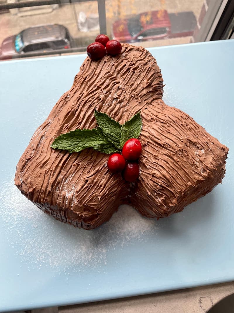 Decorated yuletide log cake.