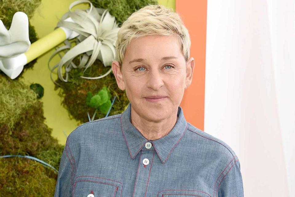 <p>Gregg DeGuire/FilmMagic</p> Ellen DeGeneres