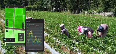 FarmiSpace de DataYoo transforma la agricultura con datos satelitales de alta resolución, ofreciendo una precisión inigualable de 3x3m. Esta plataforma asequible empodera a los agricultores de todo el mundo, aumentando los rendimientos y la sostenibilidad. Con funciones como la gestión digital de campos y el reconocimiento de cultivos con IA, FarmiSpace democratiza la tecnología agrícola avanzada. Las historias de éxito de Guatemala y Saint Kitts muestran importantes aumentos de rendimiento y ahorros de recursos, posicionando a DataYoo como líder en agricultura de precisión.