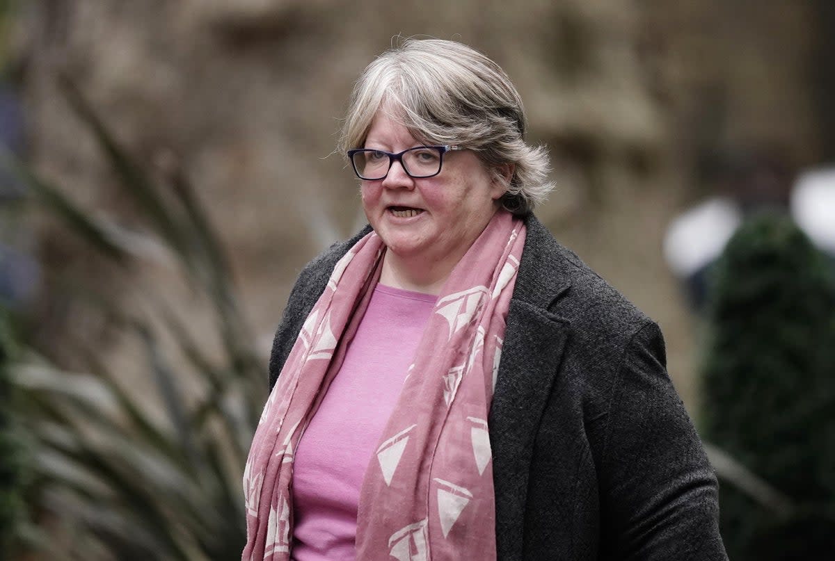 Work and Pensions Secretary Therese Coffey was given the unenviable task of handling the Sunday round of broadcast interviews (PA) (PA Wire)