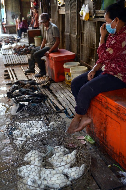 A vendor is surrounded by chickens at a market in Phnom Penh on March 1, 2013. So far, Cambodia has not recorded any human cases of the H7N9 strain and is focused on fighting the more common H5N1 virus, which has killed more than 360 people globally since 2003