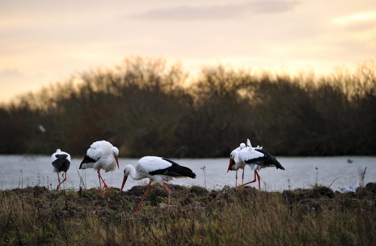 Photo d’illustration de Saint-Quentin-en-Tourmont, dans la baie de Somme, prise en 2011.