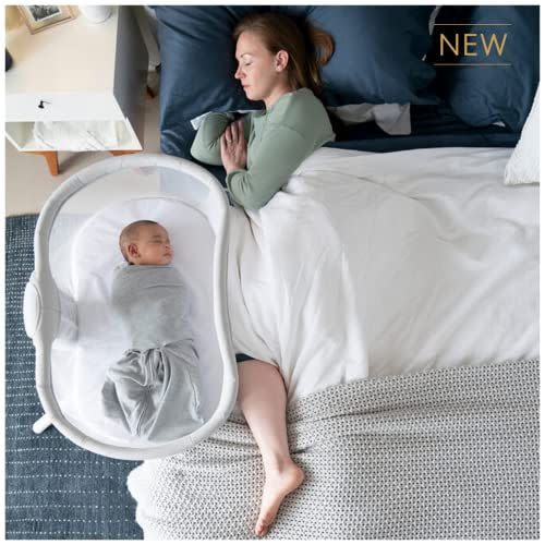 1) BassiNest Swivel Sleeper 3.0