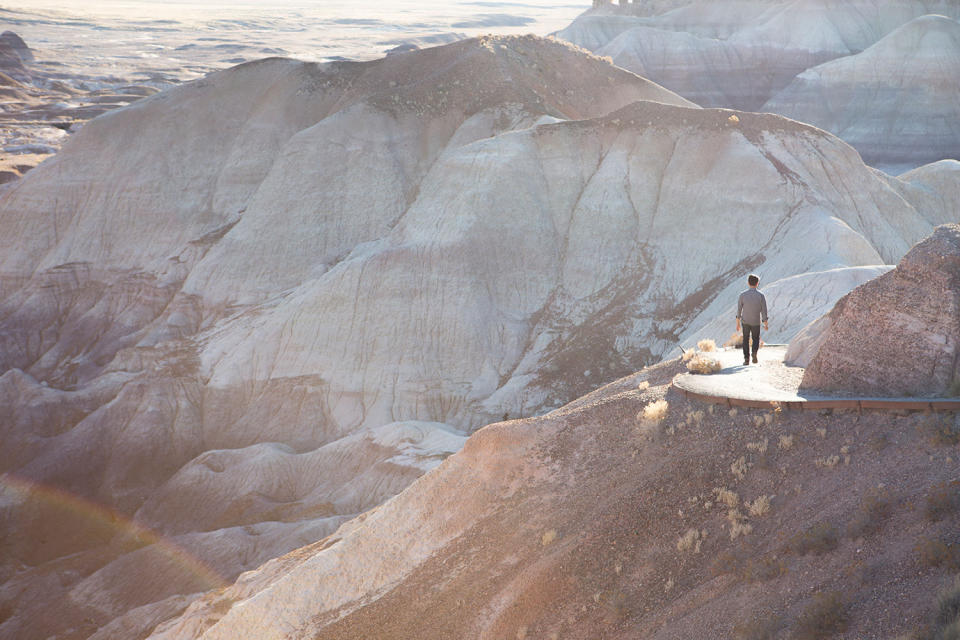 Victor in Petrified Forest, Arizona