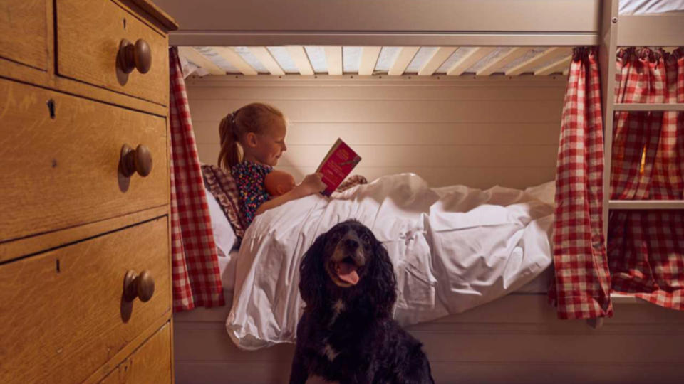 Dog by child in bunk bed at The Mitre Hotel