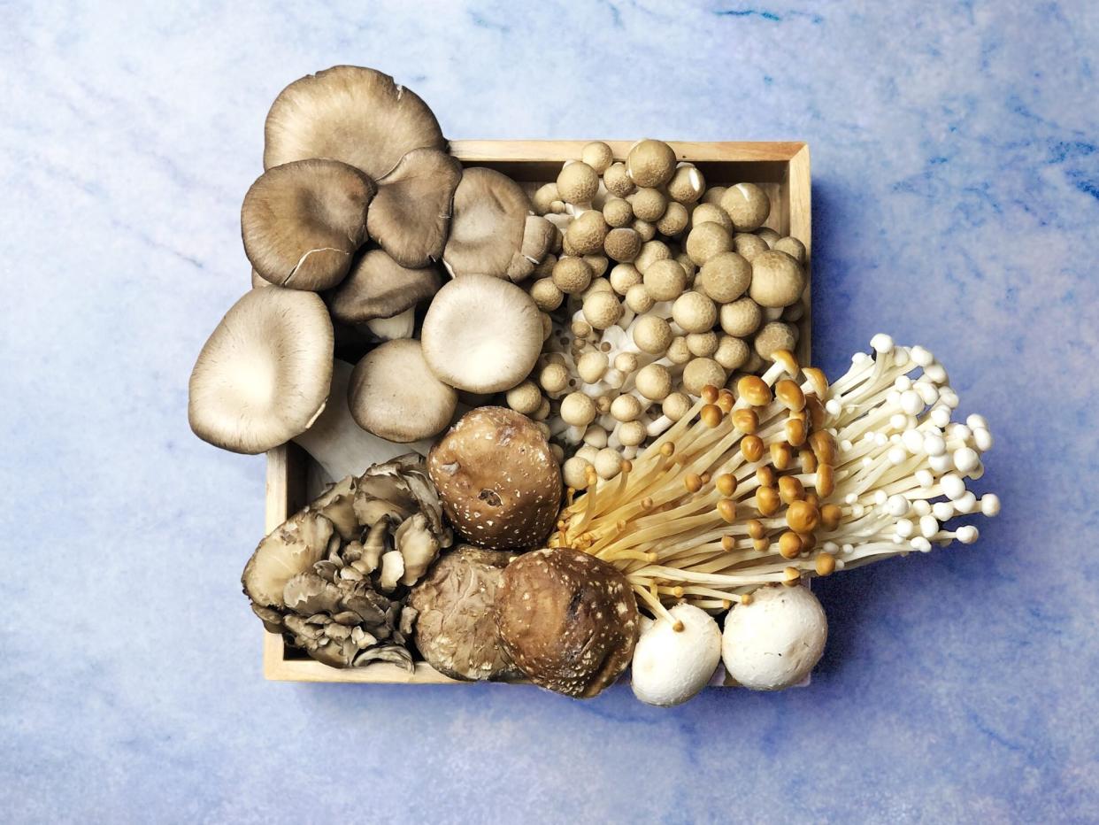 Many kinds of mushrooms Assorted