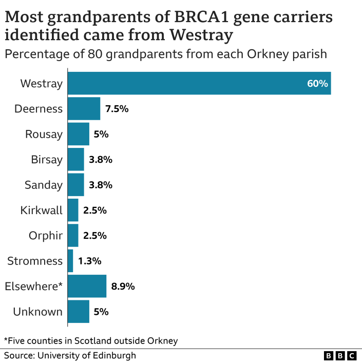 Gráfico que muestra que casi todos los portadores del gen BRCA1 identificados tenían al menos un abuelo de Westray, con el 60 % de los 80 abuelos provenientes de esa isla, el 26,4 % de otra parroquia de Orkney, el 8,9 % de algún otro lugar de Escocia y el 5 % desconocido