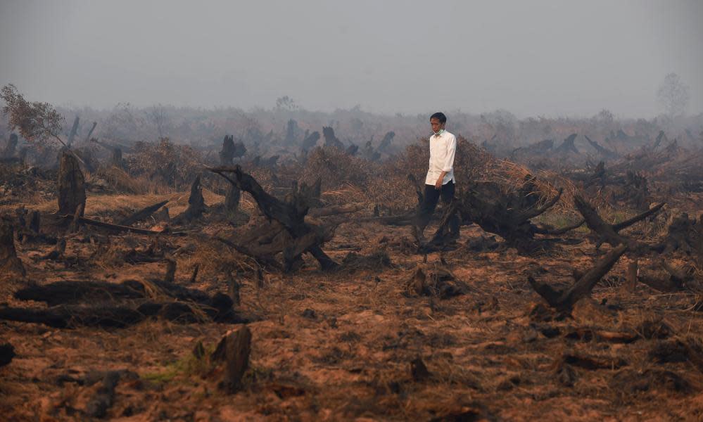 Indonesia’s President Joko Widodo inspecting a peatland clearing that was engulfed by fire in Banjar Baru in southern Kalimantan province on Borneo island.