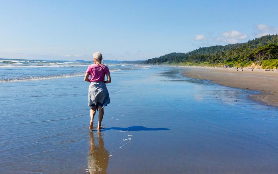 Kalaloch Campground is situated directly by the ocean