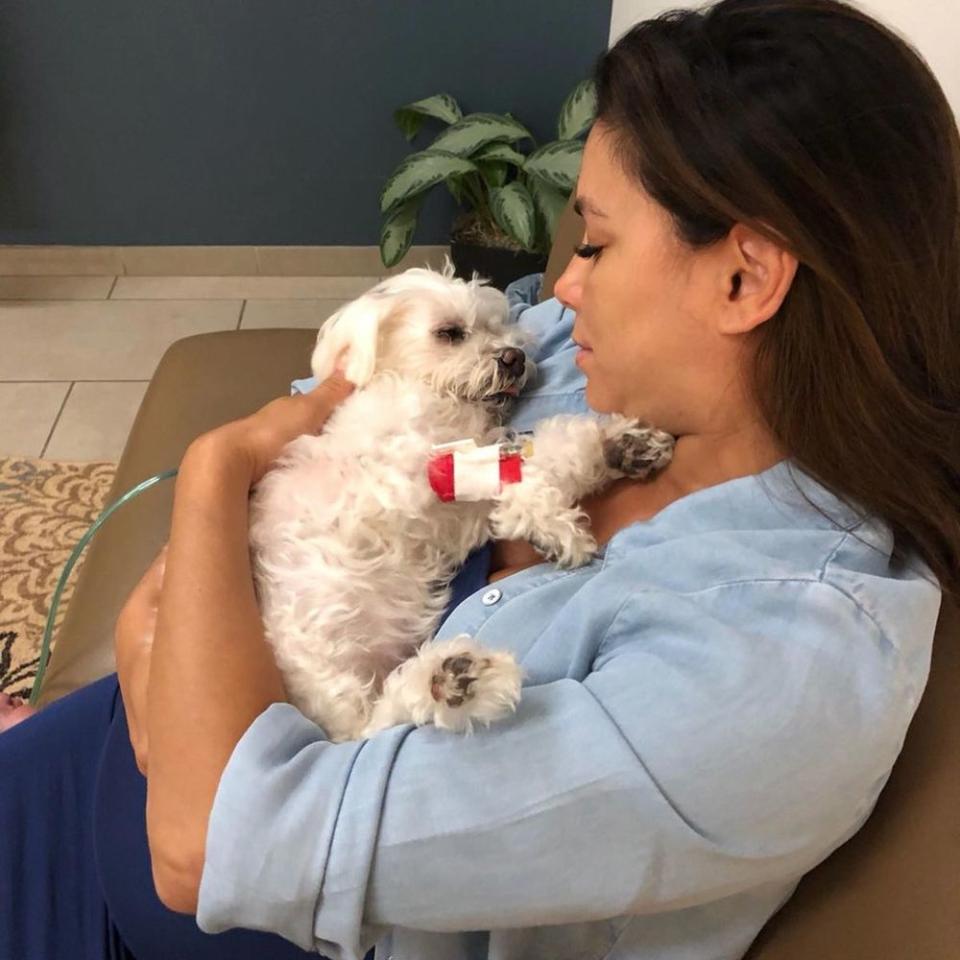 Eva Longoria and her dog, Jinxy