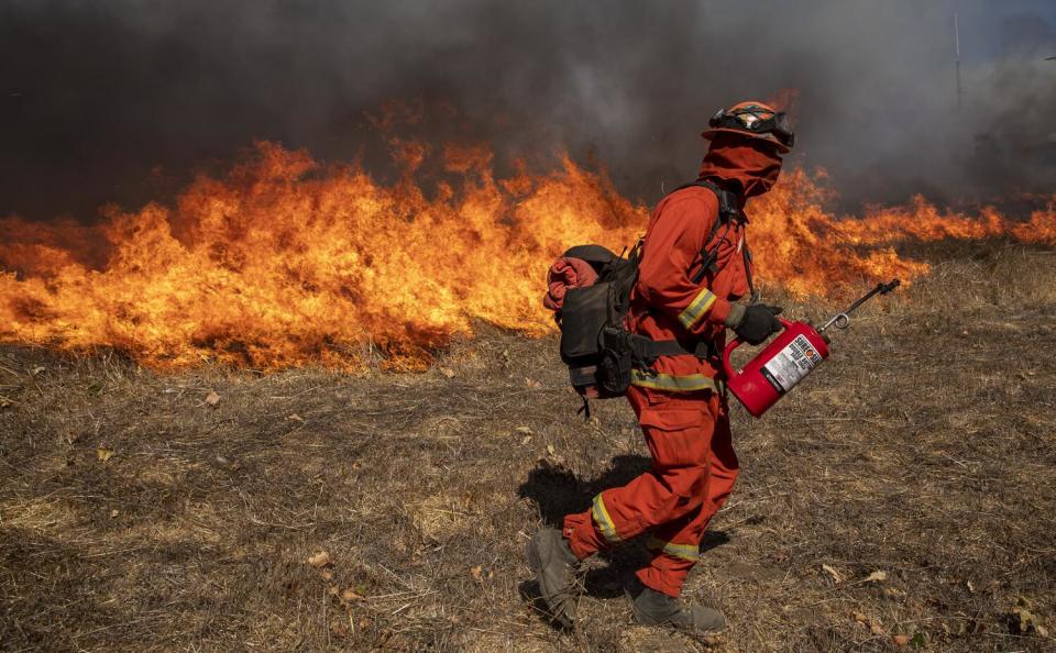 Inmate crews set backfires to heavy brush near Thousand Oaks.