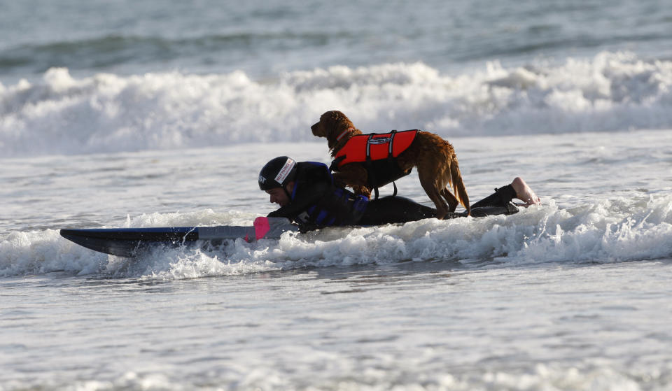 FILE - Patrick Ivison, 15, and Ricochet, a golden retriever surfing partner, cruising toward shore during a surfing session at the Cardiff State Beach in San Diego. Ricochet, the beloved Golden Retriever who found her calling as a therapy dog when she learned to surf, has died in Southern California. The 15-year-old dog helped countless veterans and kids during more than a decade providing therapy in the waves off San Diego, according to her owner Judy Fridono. (AP Photo/Lenny Ignelzi, File)