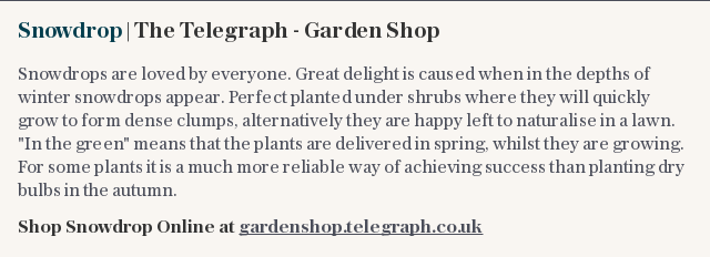 Snowdrop | The Telegraph - Garden Shop