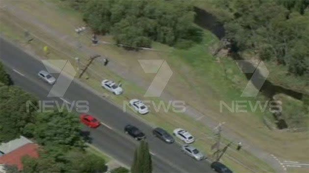 Photo: 7 News