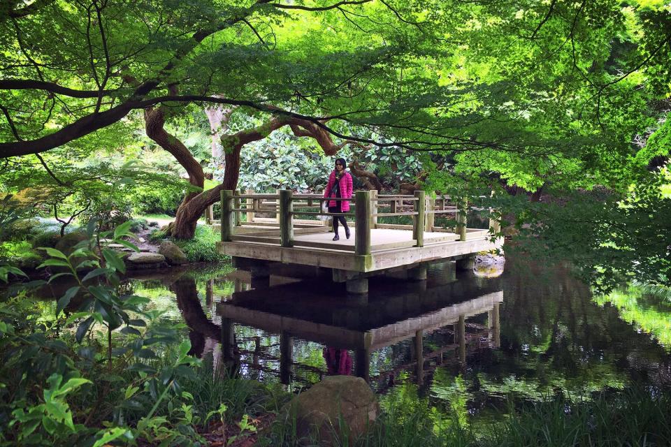 A woman standing in the San Francisco Botanical Garden