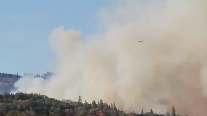 The Salt Creek Fire in Jackson County, Oregon, July 8, 2024 (Courtesy to KOIN)