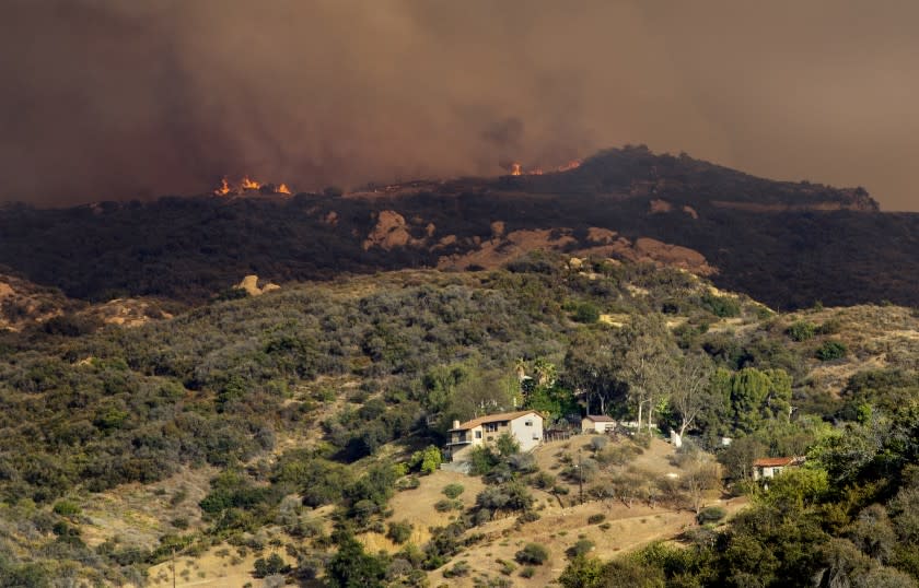 LOS ANGELES, CA - MAY 15, 2021: Flames shoot up from the Palisades wildfire in rugged terrain near homes above Topanga Canyon Boulevard on May 15, 2021 in Los Angeles, California.(Gina Ferazzi / Los Angeles Times)